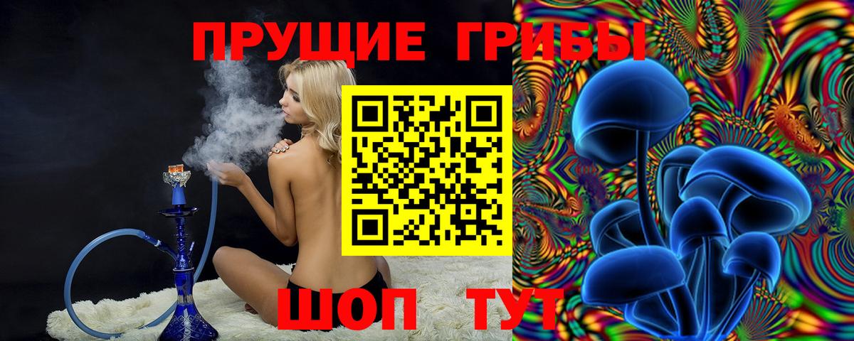 Минусинск  Псилоцибиновые грибы Cubensis  Вход с VPN  Галлюциногенные грибы MAGIC MUSHROOMS 